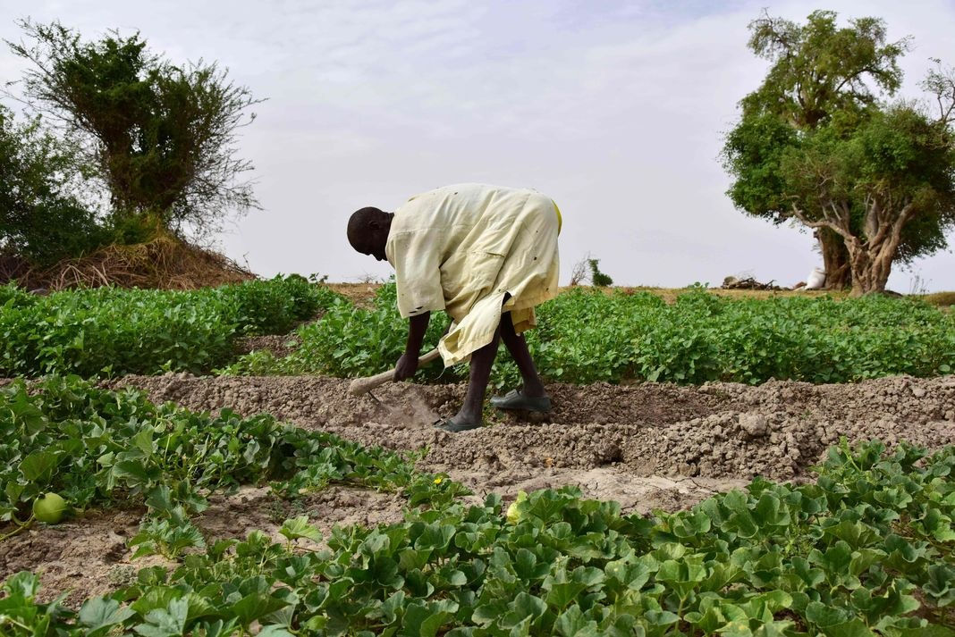 « Climat : l’agriculture fait partie de la solution »